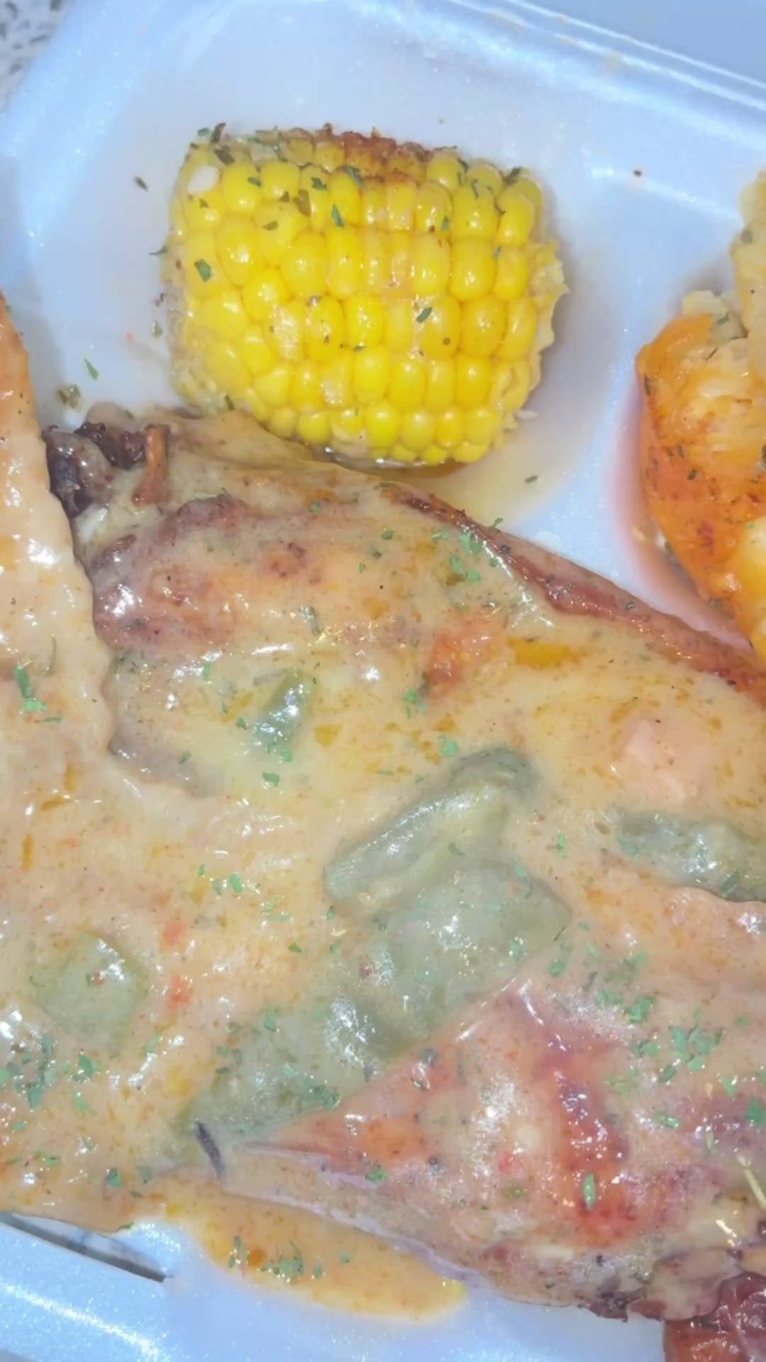 Turkey Wings Plate